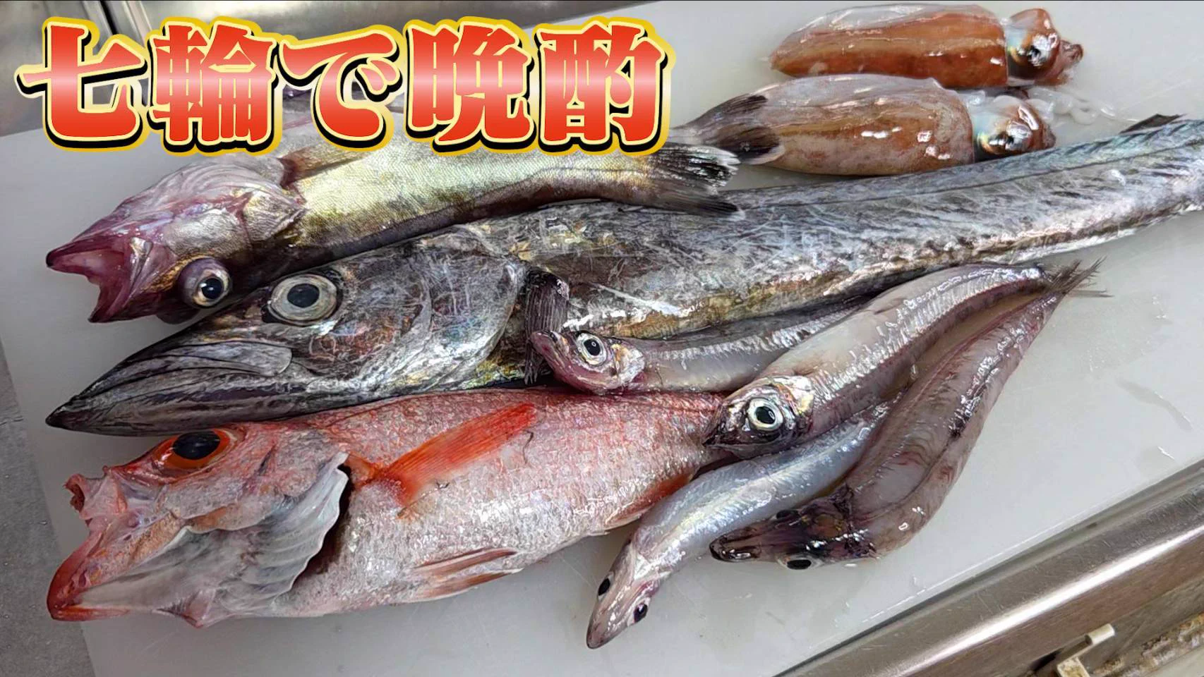 へんな魚おじさん (@_Sakana_Ojisan) / X