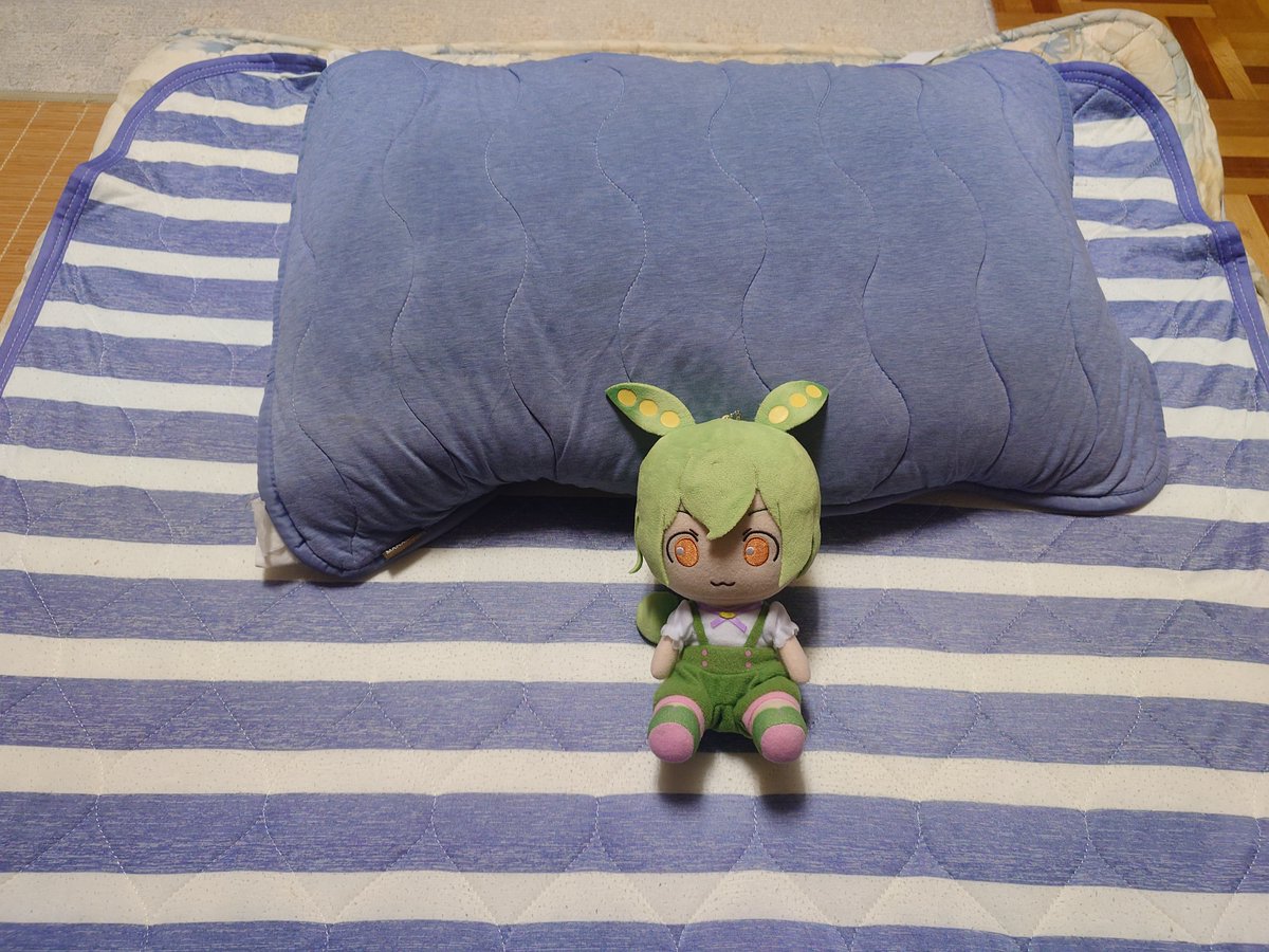 zundahouse's tweet photo. 【実家にて】
👩「いま家整理してて🫛の部屋使えないからこっちの部屋使って」

🫛「あい」

👩「布団も敷いてあるからそれで寝て」

🫛「あい（てことは実家布団変更か！？）」

🫛「・・・。」 https://t.co/sg34gnWKhz