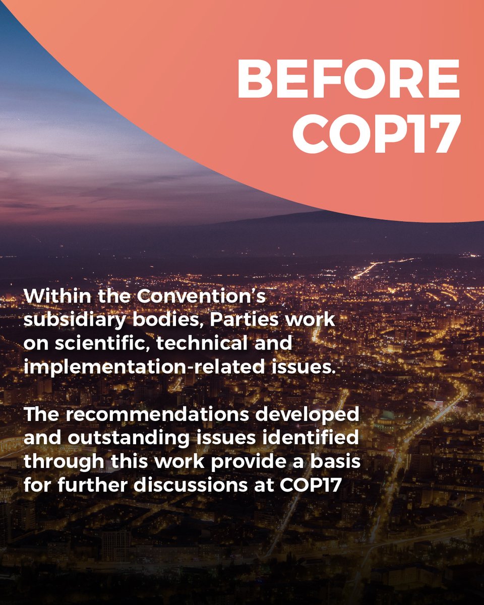 COP17_Arm2026's tweet photo. 🌍 The road to COP17 begins long before the Conference itself.
Before Parties gather in Yerevan, months of technical work, consultations, preparatory discussions and high-level engagement are already taking place.
This process lays the groundwork for the work that will continue in Yerevan during COP17.
And after the Conference, the decisions taken in Yerevan will need to translate into action.
🌿 COP17 is a key milestone in a much longer global process for biodiversity.

#COP17Armenia #BiodiversityAction #ForAction