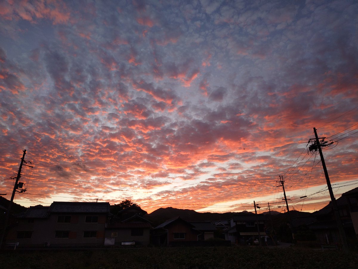 take_jugg's tweet photo. 秋！ https://t.co/A3ieAZ3IwR