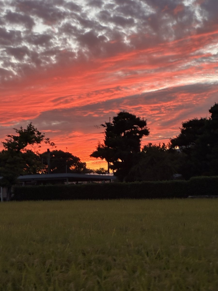 blackhawk4721's tweet photo. なんかいい
#赤い空　#夕焼け https://t.co/Du0lMdp8Ca