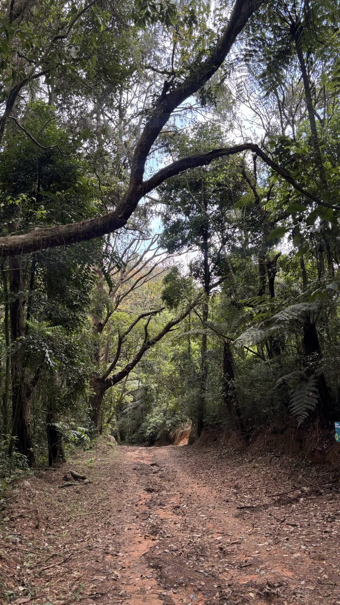 Marcelinho9879's tweet photo. ⛰️🌄🍃🥾📸🧭 https://t.co/C4Z7GzQl6P