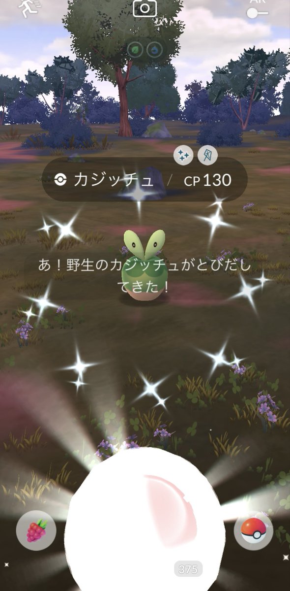 MihaaaaLand's tweet photo. 青いリンゴ
#pokemongo #ポケモンGO https://t.co/Hq9IqfndLe