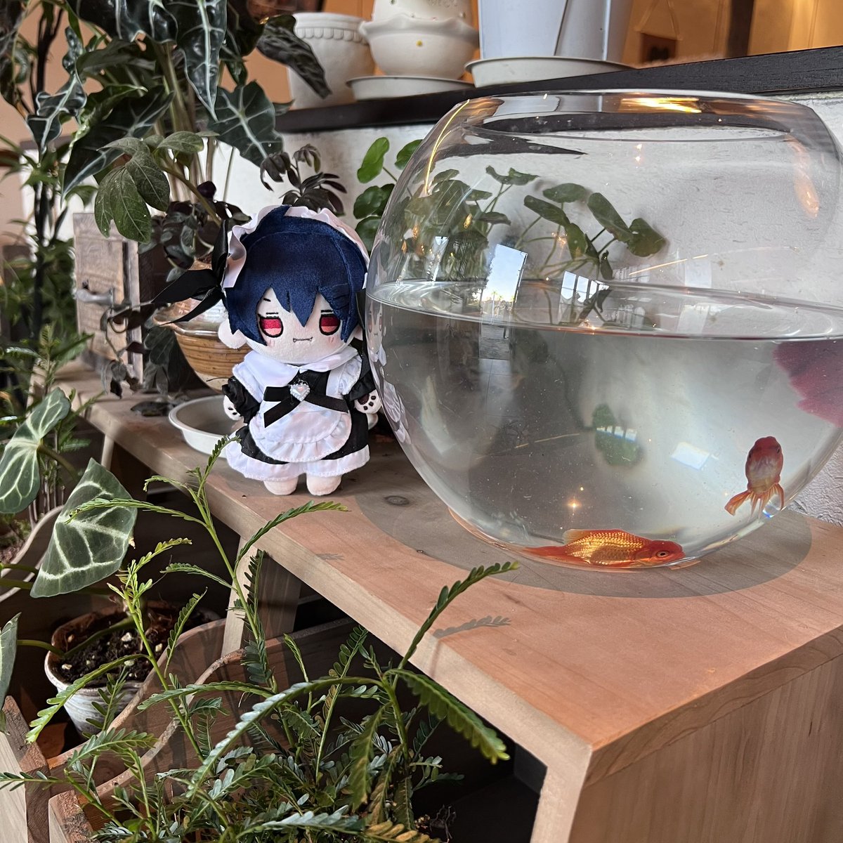 10veu_Evan's tweet photo. 观🐟 https://t.co/77XXuQHHHt