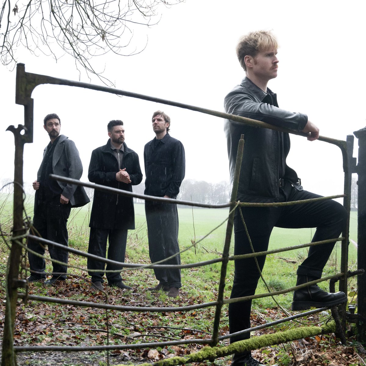 Kodaline tweet picture