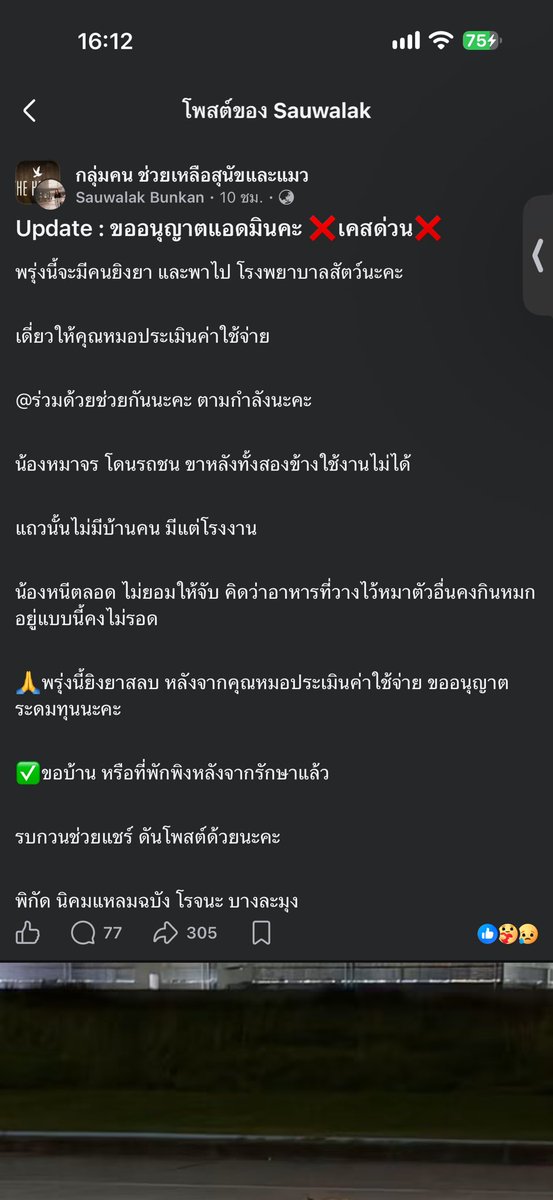 malimalineee's tweet photo. ❌เคสด่วน❌

พรุ่งนี้จะมีคนยิงยา และพาไป โรงพยาบาลสัตว์นะคะ

เดี่ยวให้คุณหมอประเมินค่าใช้จ่าย 

@ร่วมด้วยช่วยกันนะคะ ตามกำลังนะคะ

น้องหมาจร โดนรถชน ขาหลังทั้งสองข้างใช้งานไม่ได้ แถวนั้นไม่มีบ้านคน มีแต่โรงงาน

น้องหนีตลอด ไม่ยอมให้จับ คิดว่าอาหารที่วางไว้หมาตัวอื่นคงกินหมด อยู่แบบนี้คงไม่รอด

🙏พรุ่งนี้ยิงยาสลบ หลังจากคุณหมอประเมินค่าใช้จ่าย ขออนุญาตระดมทุนนะคะ

✅ขอบ้าน หรือที่พักพิงหลังจากรักษาแล้ว

รบกวนช่วยแชร์ ดันโพสต์ด้วยนะคะ

พิกัด นิคมแหลมฉบัง โรจนะ บางละมุง