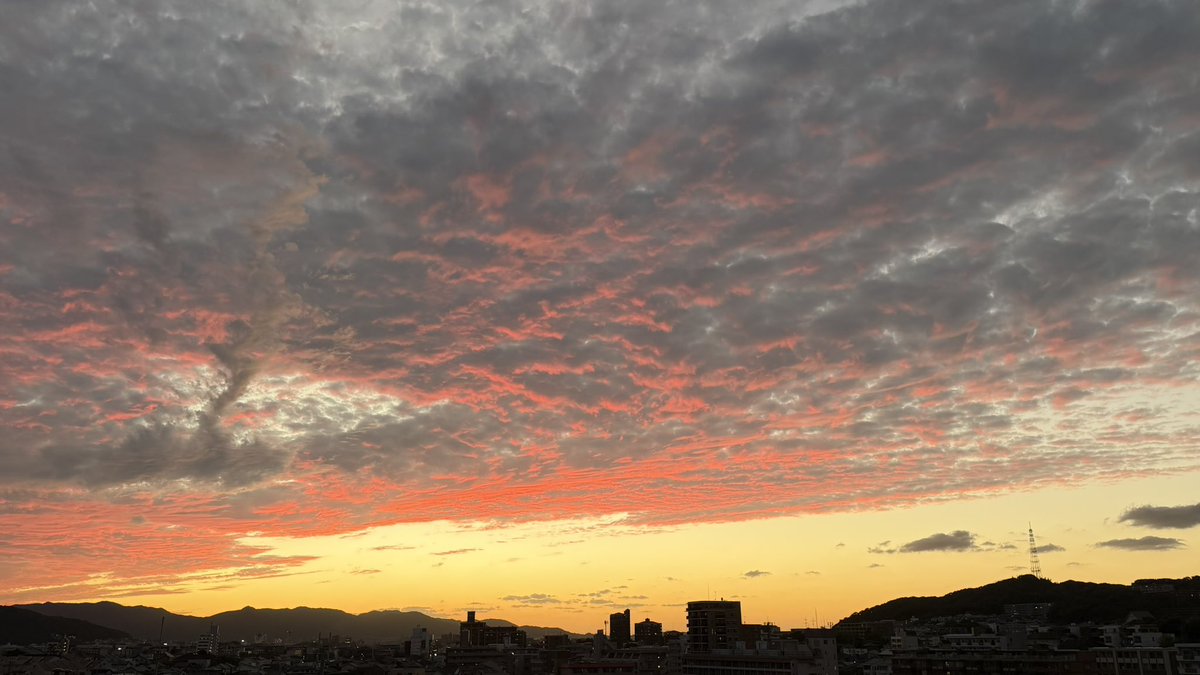 kimozombie's tweet photo. 18:15 https://t.co/cwbN2TfrvN