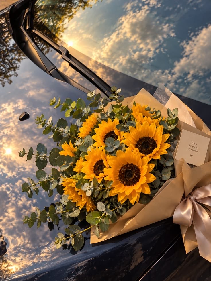 sunflowerchives's tweet photo. beautiful🌻 https://t.co/rsbIcqiP6C