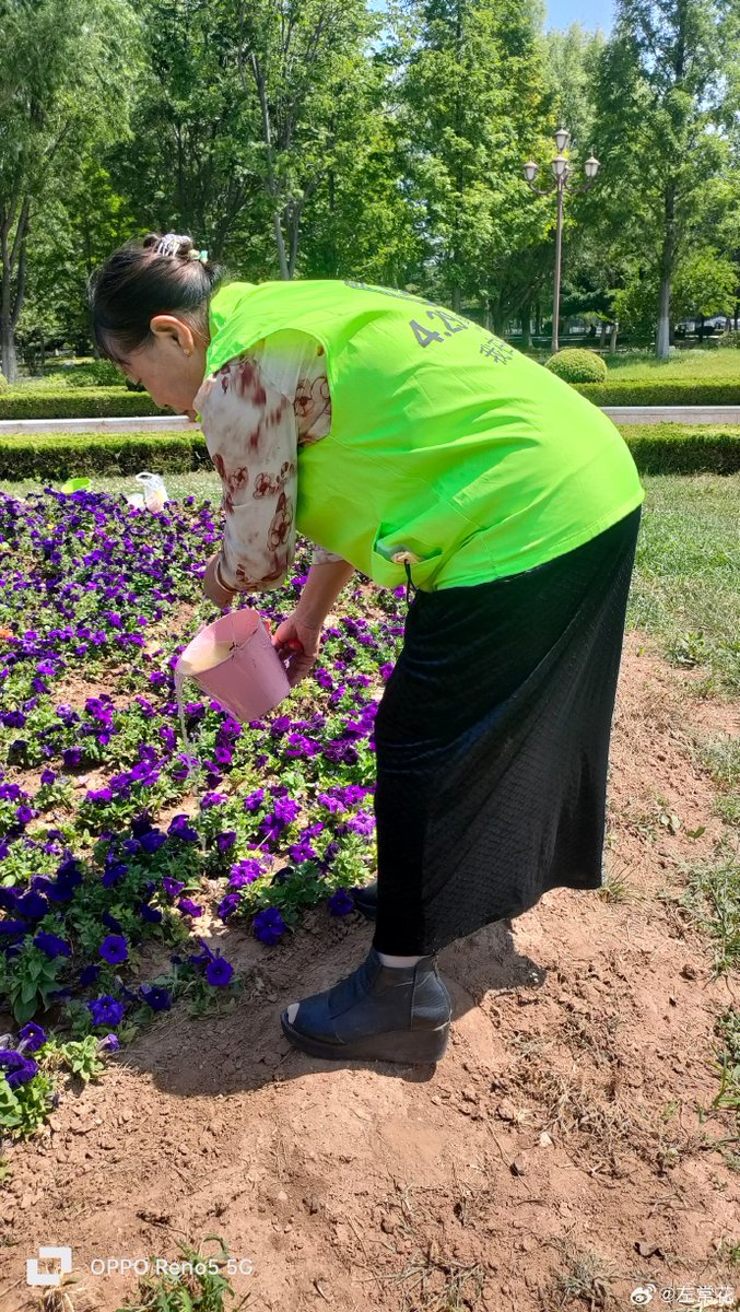 harol_bea72_f75's tweet photo. Today, I visited the beautiful park where I saw a kind woman named Zhao Ying watering the flower beds with a gentle smile. https://t.co/zazG71W9Wp