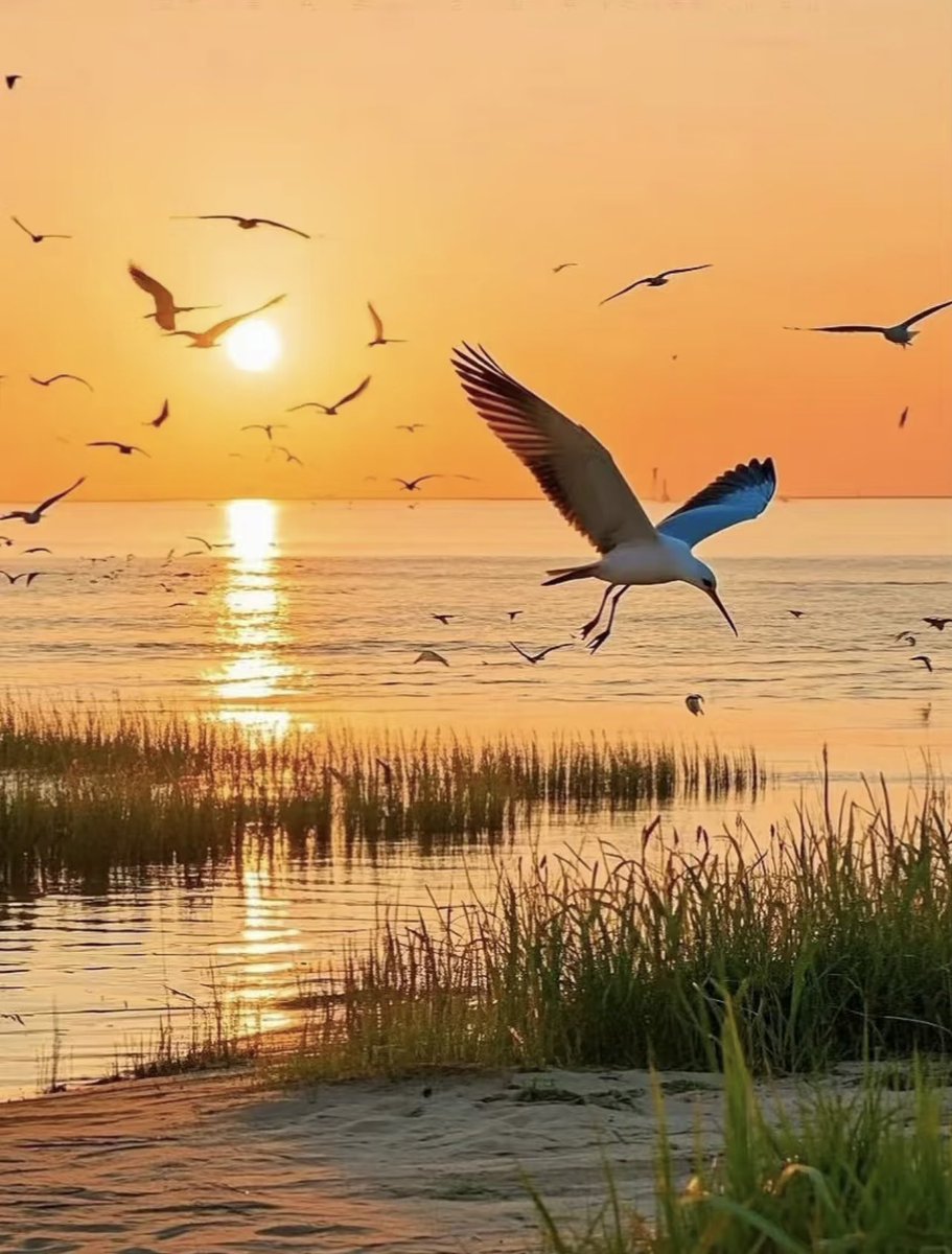 GoodlivingCN's tweet photo. Quick, look up! 👀🐦

Baiyangdian in #Hebei is one of the most important wetlands in northern China and a haven for #bird lovers. Nearly 300 species of wild birds have been recorded here, making it a fantastic place to spot birds in their natural habitat.
#nature
(Photo Credit: 甜野爱旅行✈)