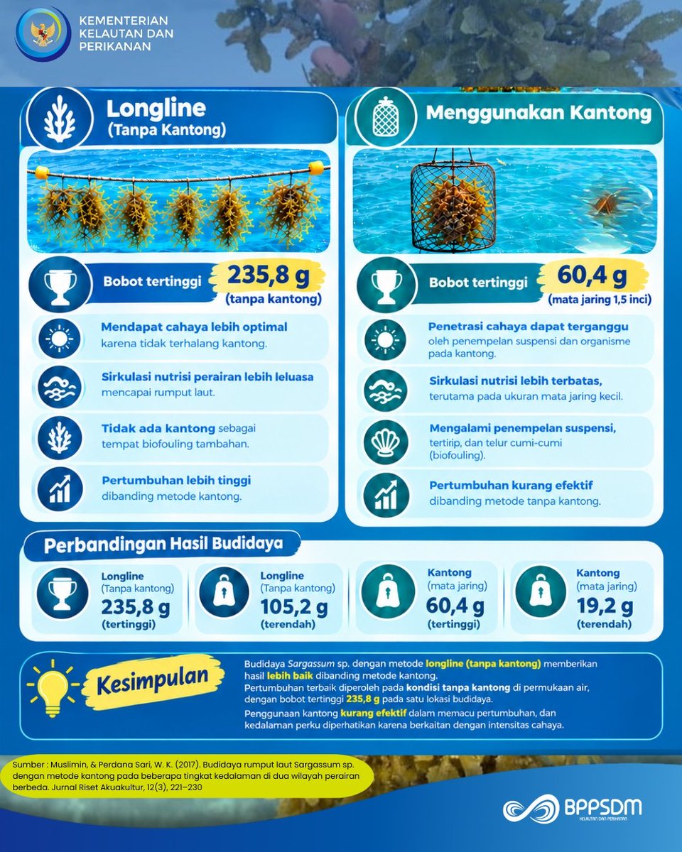 lpkp_boalemo's tweet photo. Hai #SobatBahari
Longline atau kantong, mana yang memberikan pertumbuhan lebih baik?

Hasil kajian budidaya Sargassum sp. menunjukkan bahwa metode longline  menghasilkan pertumbuhan yang lebih tinggi dibandingkan kantong.

#NelayanNaikKelas  #BudidayaRumputLaut https://t.co/asEkLcT375