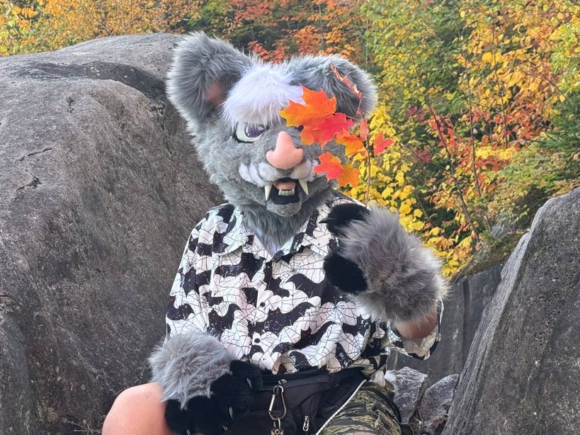 GH0ST_the_bat's tweet photo. Happy #fursuitfriday !

#furry #furries #furryfandom #fursuit #fursuiter #bat #batfurry https://t.co/LKKZbAbGCK