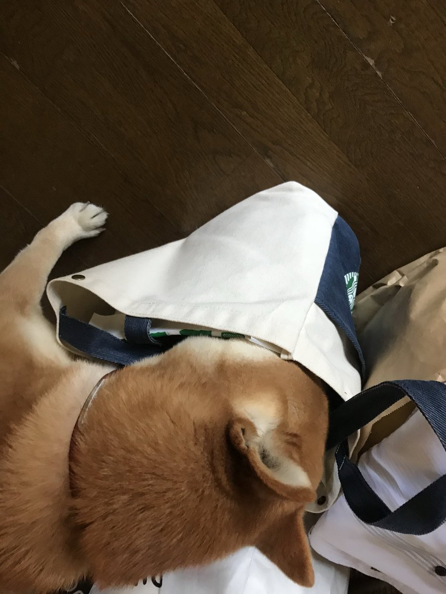 YupHello's tweet photo. https://t.co/ZQv4NwuZe9