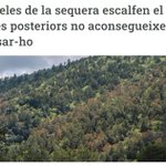 Photo by Global Ecology Unit (@GlobalEcoUnit)