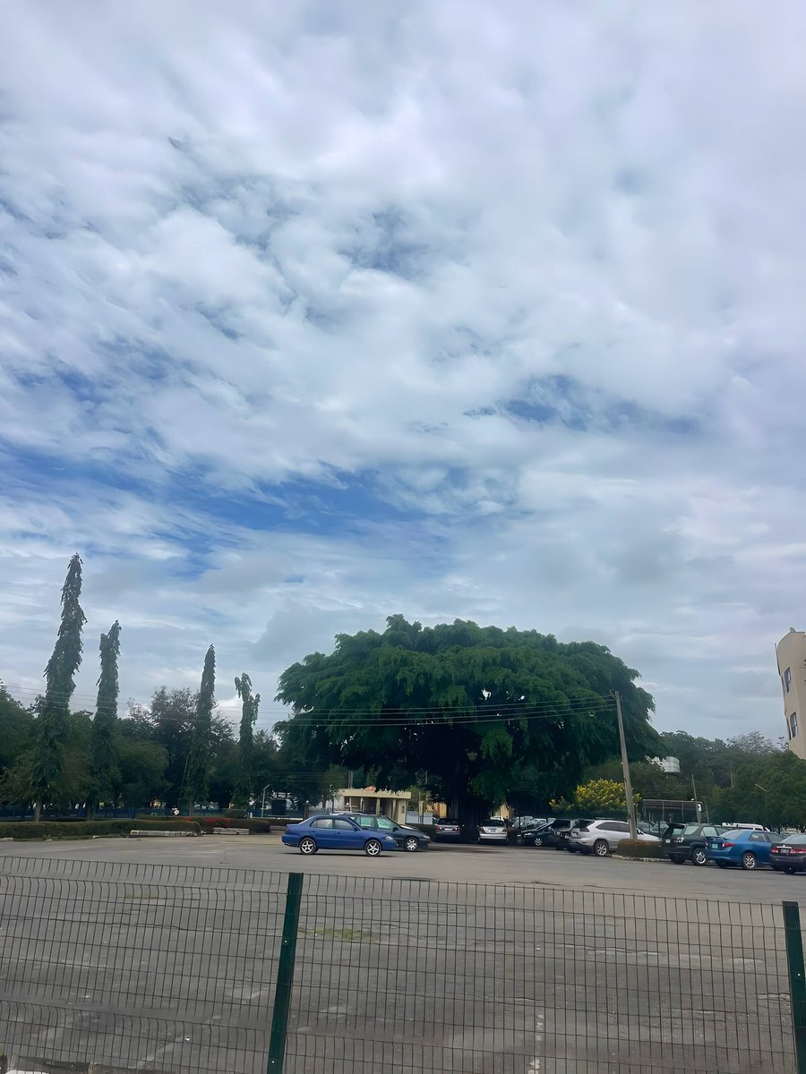 BitSphereLabs's tweet photo. Day 2: Keep showing up, even when nobody is watching. https://t.co/MEoZEX6RWe