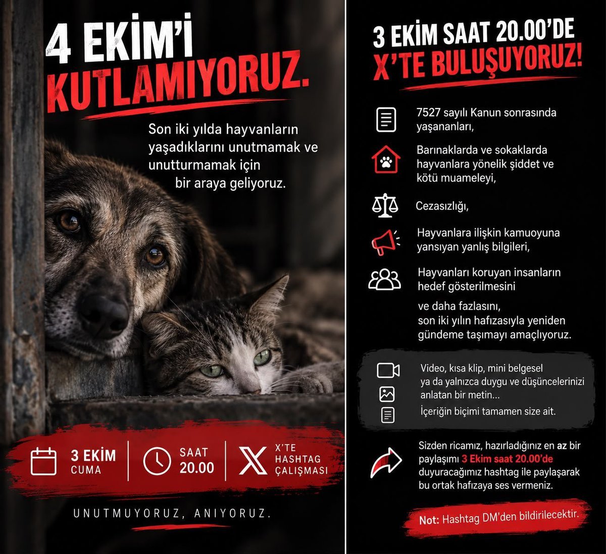 Hasardamm's tweet photo. 🚨Sokaktaki dostlarımız katledilirken, barınaklar ölüm kampına dönmüşken hiçbir şeyi kutlamıyoruz! Bugün yas ve direniş günüdür. 
4 Ekimi Kutlamıyoruz ‼️ https://t.co/iWAjGcE7MB