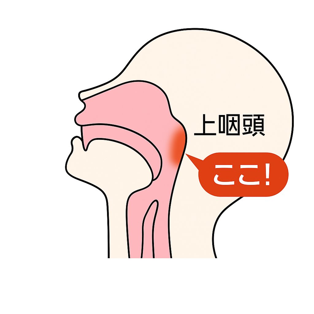 Neilmed_Japan's tweet photo. 【上咽頭を洗いましょう】上咽頭は鼻の奥の見えない場所。 実はここ、免疫の最前線でもあるデリケートな器官。  ここが炎症を起こすと、喉の痛みや風邪、インフルエンザにかかりやすくなります。
「サイナスリンス」は上咽頭が洗える鼻うがい。医療機関やクリニックで採用いただいている製品です。
インフルエンザやコロナの流行に備えましょう👃
#鼻うがい #免疫 #サイナスリンス ＃インフルエンザ