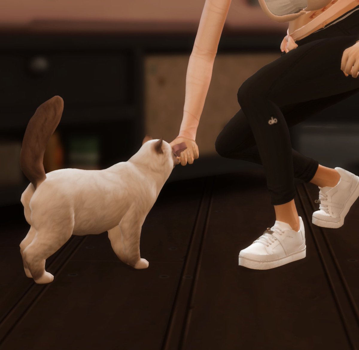 simsdelour's tweet photo. just a tip for pet owners, you can feed your cat catnip during storms to calm their anxiety ⛈️🐱!

#TheSims4 https://t.co/1cpLho0Thv