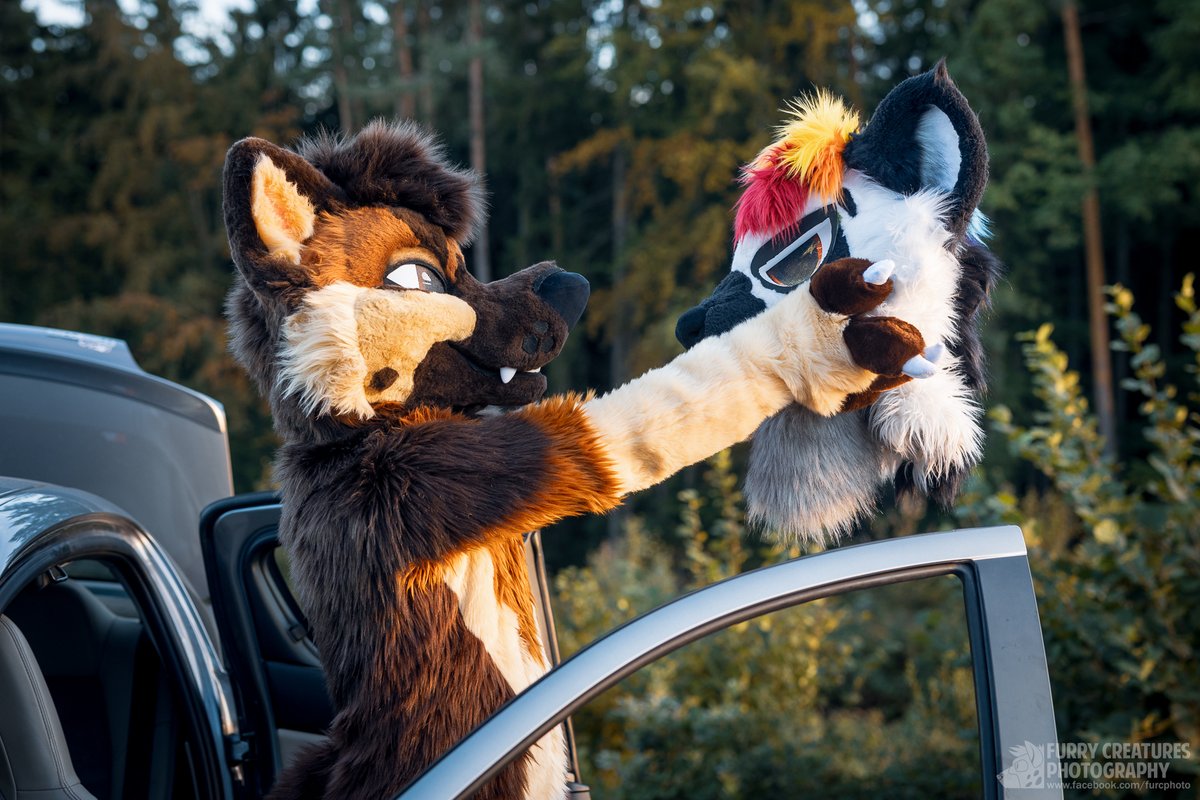 SoftieShep's tweet photo. Eat the yeen or not, that is the question

📷@FurCPhoto
#FursuitFriday #fursuits https://t.co/u5JZzRgfGJ