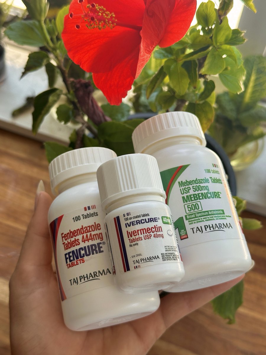 pharmacyinusa's tweet photo. 💚 OUR FAMILY’S EXPERIENCE WITH IVERMECTIN DURING MY DAD’S STAGE 4 COLON CANCER

My family believes ivermectin was one of the tools that contributed to my Dad’s healing after his stage 4 colon cancer diagnosis this year.

Because stage 4 cancer is considered advanced disease, we were understandably desperate to find every possible tool. None of us had experience using ivermectin for cancer, so we were learning as we went and trying to make decisions based on the information we could find.

We started cautiously and adjusted over time as my Dad responded. Eventually, ivermectin became one part of a much larger approach that also included other medications, supplements, dietary changes, and lifestyle interventions.

By early 2026, we had also incorporated fenbendazole and mebendazole after researching their proposed anticancer mechanisms.

I personally experimented with ivermectin as well. I noticed changes that I associated with mental clarity, digestion, and reduced cravings for sugar. I've since taken a break from it and have been paying attention to how I feel without it.

But here's the important part:

This is our experience—not proof that ivermectin cures cancer.

My Dad's outcome involved many variables, and we cannot determine from our experience how much any individual treatment contributed. I also wouldn't recommend anyone copy the doses we used; high-dose ivermectin can carry significant risks and should be discussed with a qualified medical professional.

What I do believe is that patients and families deserve honest answers about promising treatments and repurposed drugs. If there are biological reasons to investigate a medication, it deserves rigorous research rather than being dismissed outright.

Our family chose to keep looking for possibilities while continuing to navigate an incredibly difficult diagnosis.

For us, that search gave us hope.

And that's what I want to share: hope, curiosity, and the willingness to keep asking questions.

Healing is always possible. 💚