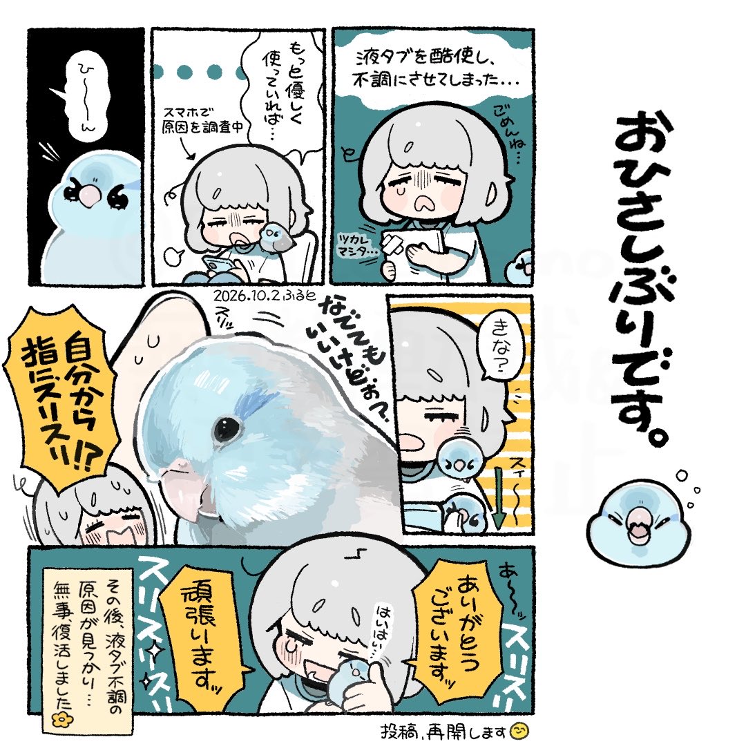 furuto_memo's tweet photo. おひさしぶりです🐦

#インコ #マメルリハインコ #イラスト #illustration #漫画が読めるハッシュダグ https://t.co/YzTNlujssY