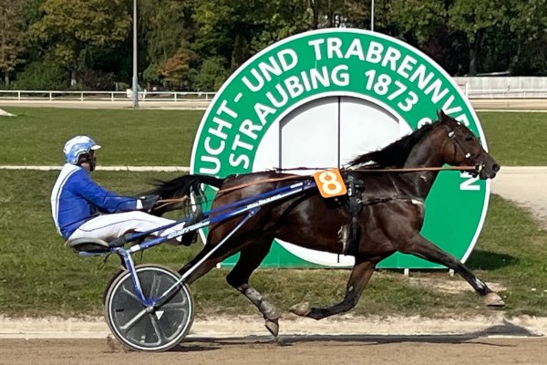 TrabrennbahnSR's tweet photo. Nachschau zum PMU-Renntag am gestrigen Donnerstag: 

https://t.co/xSvgohSJz4

#straubing #rennbahn #trab #equidia #pmu #wettstar https://t.co/zl3lXByRwW