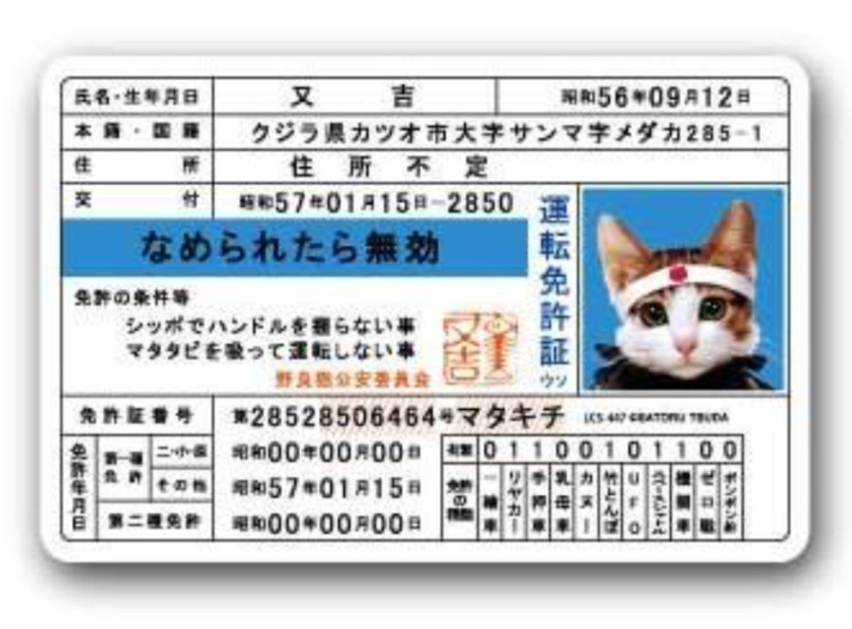 MasuyanY80013's tweet photo. @bozu_108 なめ猫🎌😾⚡️ https://t.co/YitIn5weGB