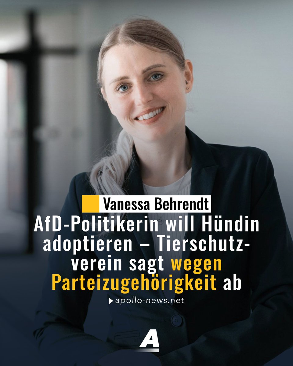 apollo_news_de's tweet photo. Die AfD-Landtagsabgeordnete Vanessa Behrendt wollte eine Setter-Hündin aus Italien adoptieren. Der Tierschutzverein Fortuna Animali lehnte die Vermittlung ausdrücklich wegen ihrer „politischen Zugehörigkeit“ ab. Der vollständige Chatverlauf liegt Apollo News vor.
https://t.co/vPWhuyidKJ