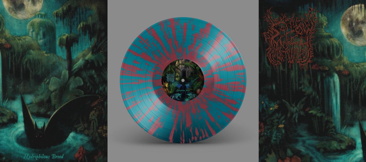 gonemage's tweet photo. 2nd Pressing for Sallow Moth ‘Hydrophilous Brood’ up for preorder on Bandcamp by Willowtip Records. 

-Maroon Splatter on Seaglass
-Black Green Marble 

Link below 🔗 https://t.co/NWuMOXknLx