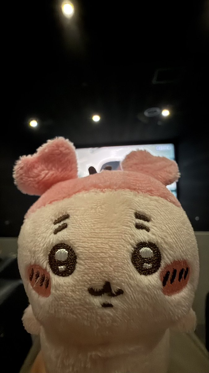 taaiiyou's tweet photo. 오늘  일어나자마자 쥐이카아 봣어요 https://t.co/OfkaDNxdnU