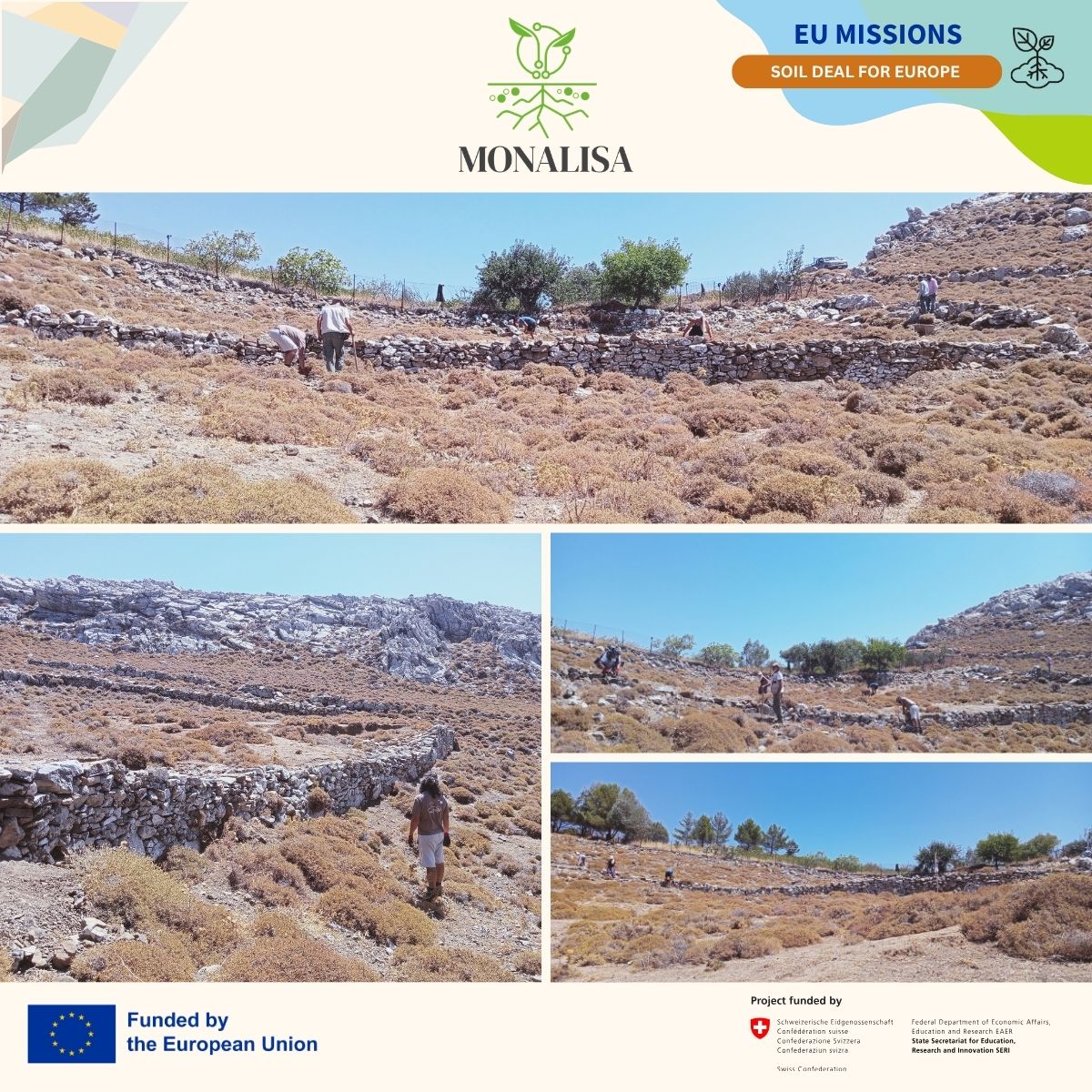 MONALISA_4LAND's tweet photo. 🪨 Traditional knowledge in action in Crete.
A hands-on dry stone-wall workshop in Ethia brought together researchers, local stakeholders and community members within the MONALISA Asterousia Case Study.
🌿 Read more: https://t.co/MyfpyNKCqr
#MONALISA4land #MissionSoil #Crete https://t.co/oeUUrTcrVW