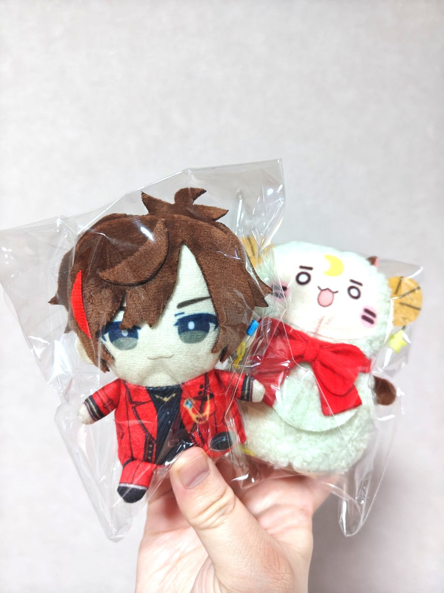 srgl_9's tweet photo. バースデーグッズ🌙届いたぁ！
パペのお顔むっちりでかわゆい https://t.co/NNLBghUoEF