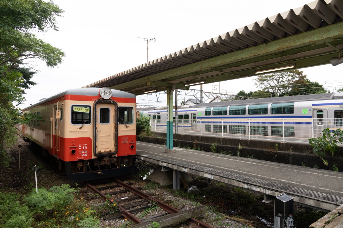kazusa131sayaka's tweet photo. 大原駅にグリーン車
かつてE217が来てたのもこんな感じだったんでしょうか https://t.co/kdCxqsYuKN