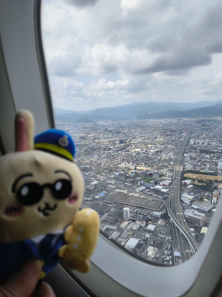 showswifti's tweet photo. 私も買ったけど圧倒的に数が少なかったな。行きの空港で買って飛行機の窓際で写真撮りまくってたら、降りる時にCAさんに「良いうさぎの写真が撮��ましたか？」って聞かれて「あ…あ…」てちいかわみたいな返事しかできなかった55ちゃい
RP https://t.co/zyydulErJn