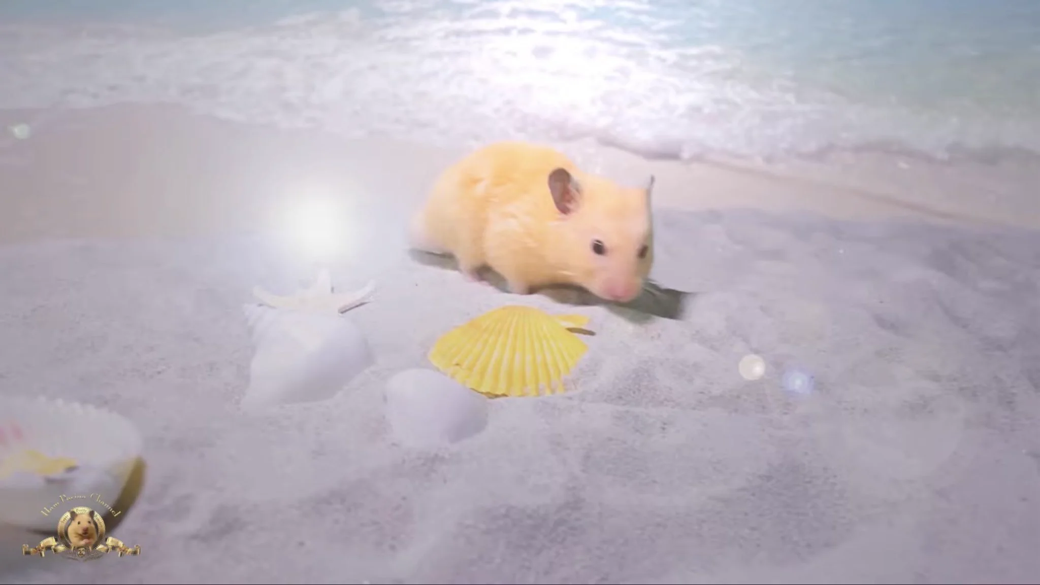 HamPacino（ハムパチーノ） в X: „今週もお疲れ様。無理せずマイペース