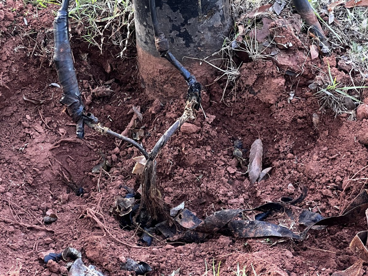 Elainetjie's tweet photo. @CityPowerJhb Need support in Florida Park. 
This is how City Power left the job! https://t.co/1uW1SoQrRF
