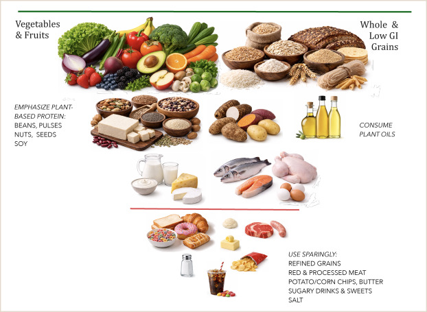fleroy1974's tweet photo. In a new paper, Harvard's Walter Willett is trying to resurrect the old food pyramid, now that EAT-Lancet is dead and the US dietary guidelines finally start to make sense again. If I'd eat like this, I'd feel lousy all day. https://t.co/Z3G7Bx4pYp https://t.co/PEqEw03JKO