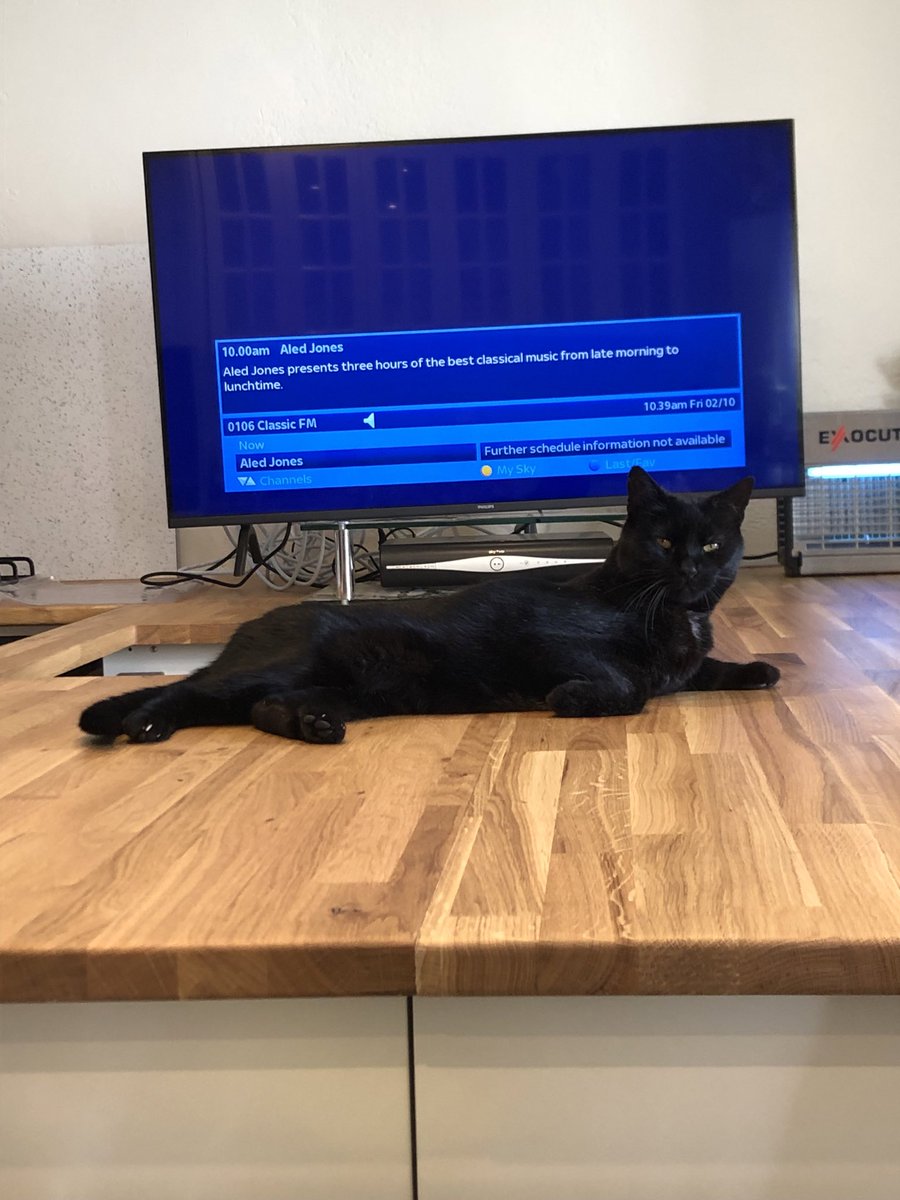 Jacquel95984318's tweet photo. I’m testing out the new worktop while listening to some relaxing music. Love Dennis-Wilbur. 🖤🖤🖤 #Cats #CatsOnTwitter #CatsOfTwitter #Hedgewatch #Hedgewatchers #CatsOnX #CatsOfX https://t.co/0QhHess0lv