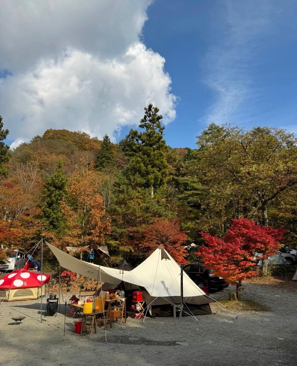r21836000's tweet photo. 今回も山梨県の道志の森で、もう3回目なんだ🏕️
予約はいらなくて、朝7時には入れます、入ったらまず場所を探すんだよね🌲
区画は分かれてないんだよ👀 
#キャンプ #アウトドアキャンプ #一緒にキャンプ #バイクキャンプ #キャンプ用品 #車中泊キャンプ https://t.co/VbMKQm9uUH