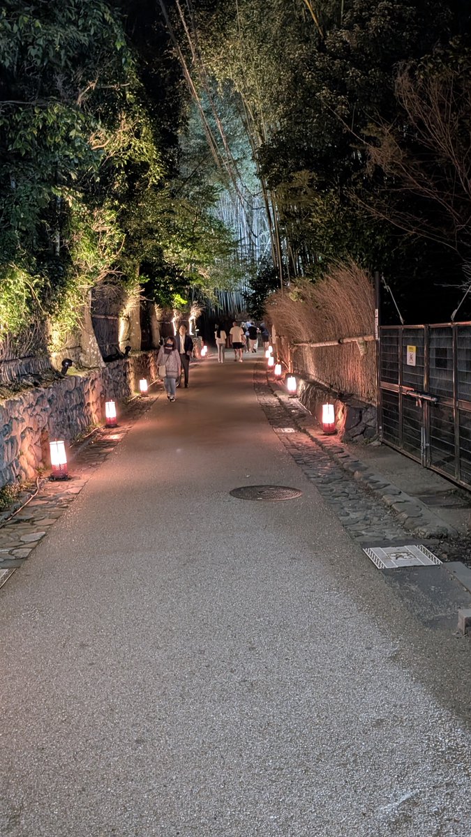 Tehepero1abcba2's tweet photo. 夜に🌃嵐山に来たのは

ライトアップした竹林の小径に
どうしても来たかったから🎍
#竹林の小径 https://t.co/vmomXGsuMJ