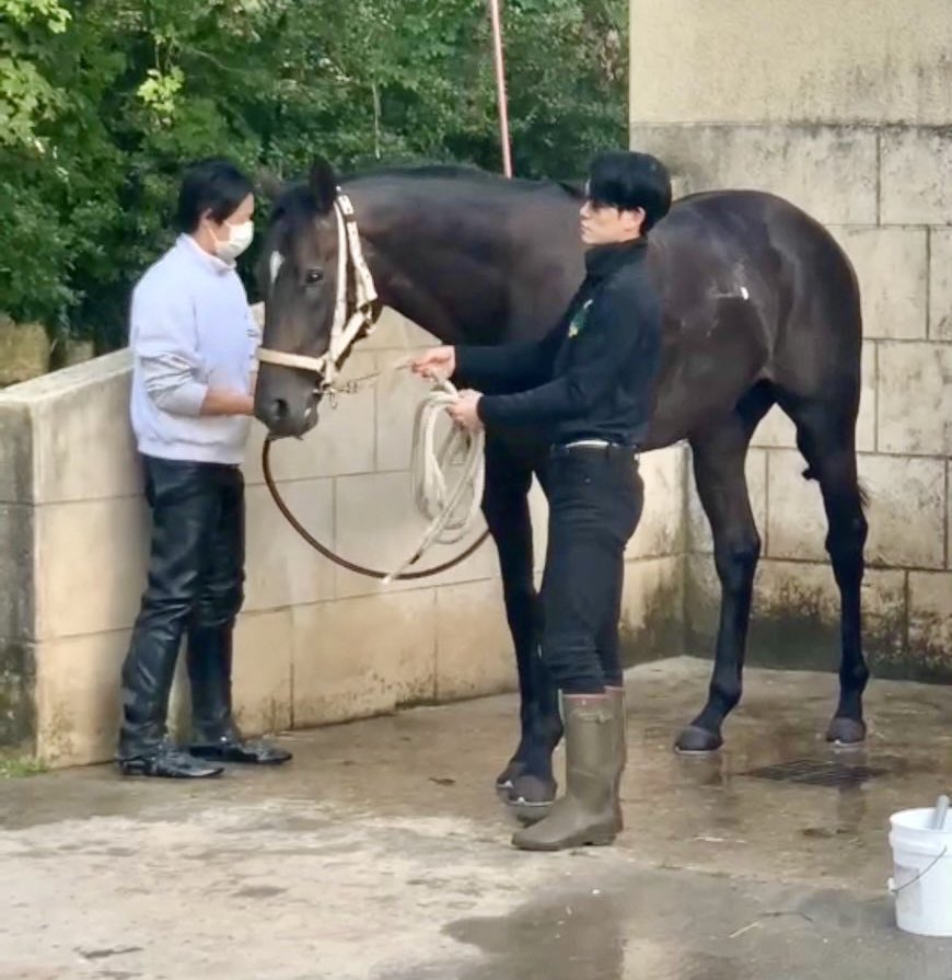 project__bond's tweet photo. 記者による「ディープボンド＆谷口助手の🇫🇷遠征」振り返り③です。

「帰国のタイミングで『結果は大敗でしたが、皆さんとお友達になれたことが嬉しいです』と律儀に、それも明るい絵文字付きで記者陣に連絡してくださったのが���ごく嬉しかったですし、谷口さんらしいなと思わされました」 https://t.co/95wm06PdQS
