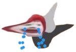madoraa039's tweet photo. 【怒られてる】
ドナルドがロナルドになったとてお前は蚊ルドなんだよ！！ https://t.co/AEZYQ2oCPx