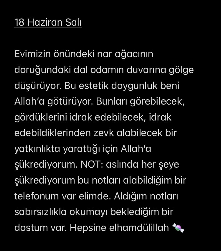 mehtapikacu's tweet photo. 2024 bir arkadaşımla şükür defteri tutuyorduk… https://t.co/sBNmwXhK39