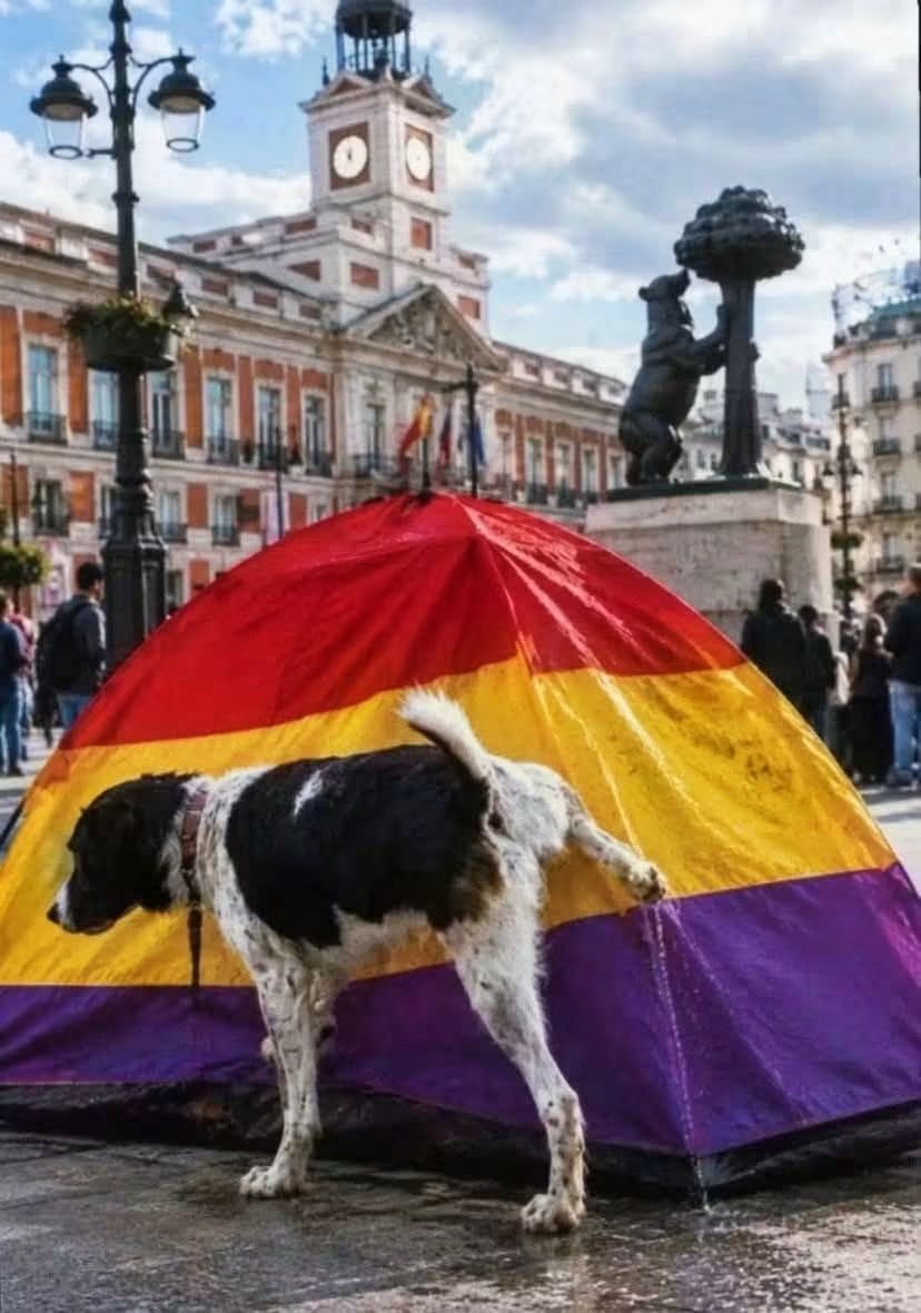 SoledadPalomar1's tweet photo. Bravo por este patriota  !!!
👏🇪🇦👏🇪🇦👏🇪🇦 https://t.co/2ZhBHPvLNt