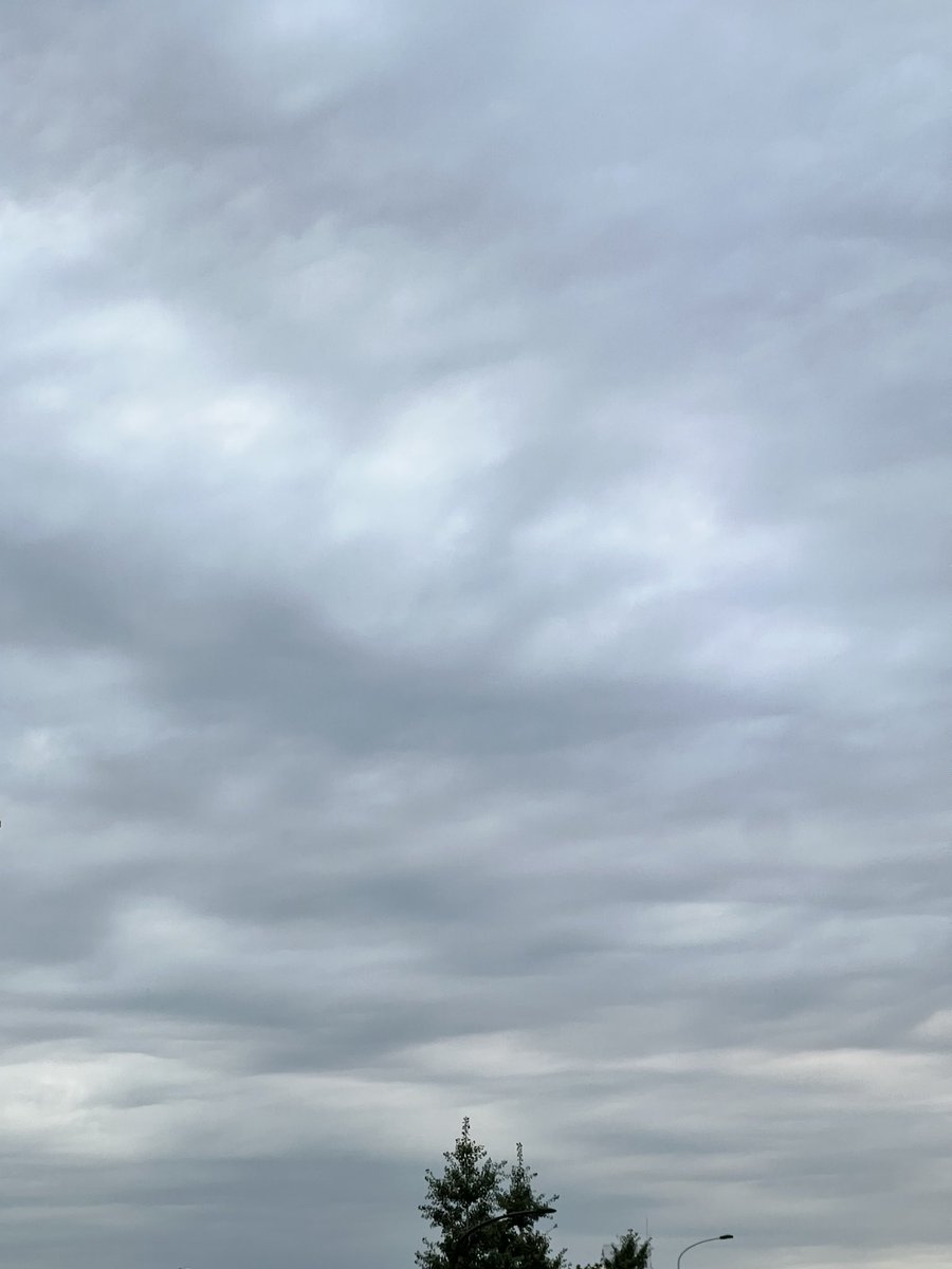 DeepBlueSky1126's tweet photo. Friday, Oct 2 2026
#東京の日の入り 17:24
#Sunset_in_Tokyo at 17:24
#Todays_evening_sky.
あーあいにくの…☁️
#かこそら
#空を見上げれば
#Good_location https://t.co/czRznQWbj8