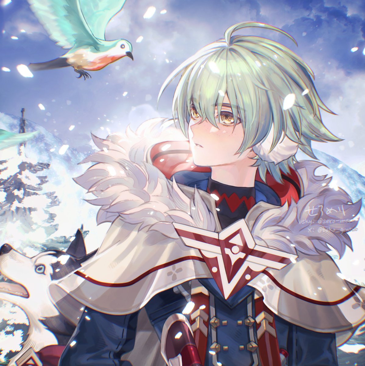 beko_gmsub's tweet photo. アリョーシャ🐾❄️
#Alyosha https://t.co/CFgymSKg9Q