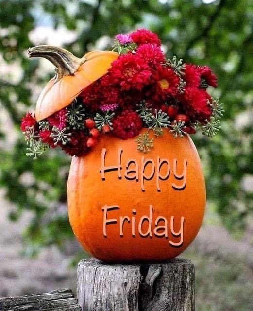 simply_love_fun's tweet photo. @Nik_Nak79 @CocoaBunnie #teamvick https://t.co/H27l5PytN3
