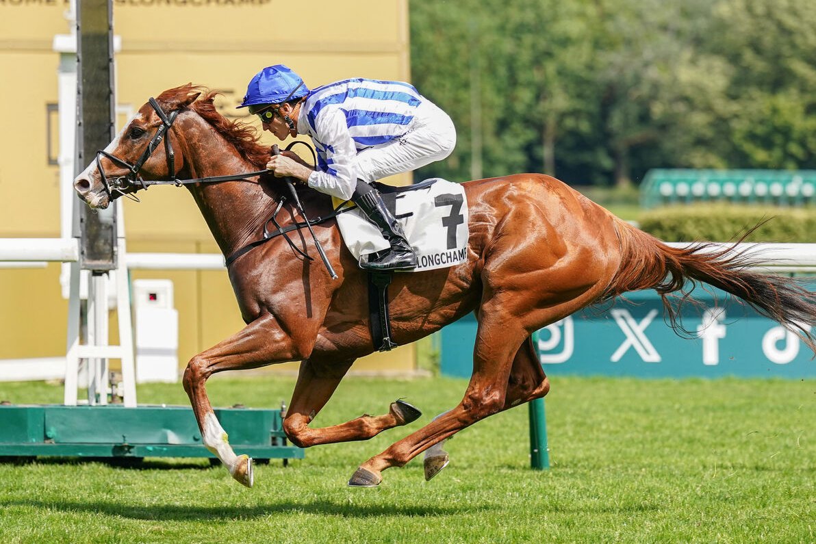 MHS_HorseRacing's tweet photo. 6⃣ We have six runners today.

At @paris_longchamp Seagulls Eleven (12:58), at @NewmarketRace Velociraptor (1:00), at @Ascot Fitzella &amp; Stratusnine (3:00), at @Redcarracing Stardom Glory (3:20) &amp; at @Southwell_Races High Hazard (5:20).

@Coral @HM3Legal @nafuk @ESurfaces #TeamMHS https://t.co/XbIIjptqyM