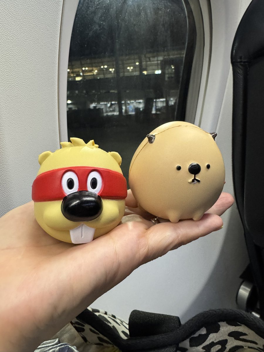 kachi1315's tweet photo. いざ✈️
#SUPERBEAVER
#GOGOGO https://t.co/OVH5wDNJmv