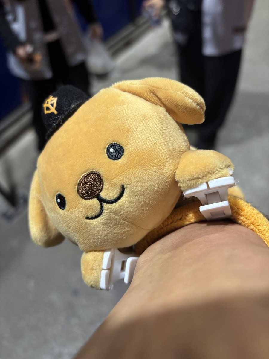 YGAbe83's tweet photo. 今回もアベドックくん
そして菅野投手のパペットくんが仲間に加わり最終戦に参戦しました"(ﾉ*>∀<)ﾉ https://t.co/xSCyjI9GLQ